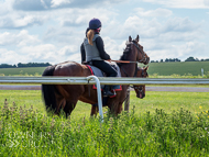 CH290522-78 - Charlie Hills Stable Visit